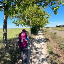 Typical Camini path with trees on the Southern side creating shade