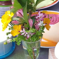 Muttertagsblümchen 💐