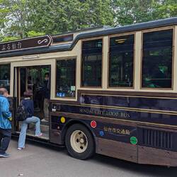 Der viel zu kleine Loople Bus