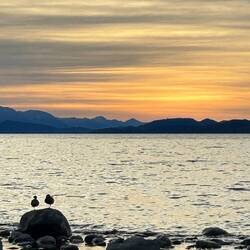 Lago ... Who can keep that name in mind??