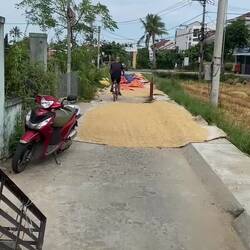 Es war erlaubt über den Reis zu fahren 😉