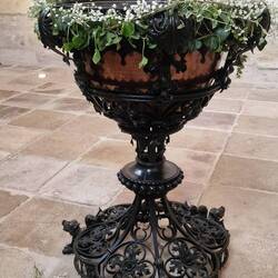 La coupe de feu 🔥 🧙‍♂️