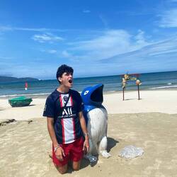 Pinguin trouvé