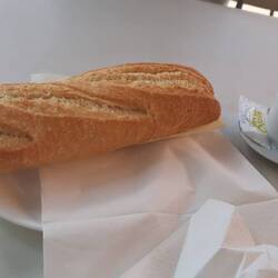 Lunch- a large cheese sandwich