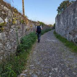 Walls
