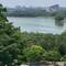 Lookout view