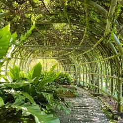 A tunnel