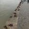 Monument of Shoes, Budapest. Such a tragic history.