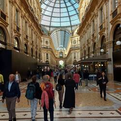 Let the shopping begin!