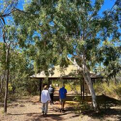 Boab Prison Tree