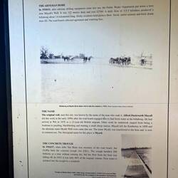Boab Prison Tree