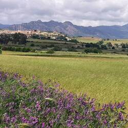 Ganz neue Landschaft