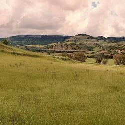 ..Sieht fast schon toskanisch aus