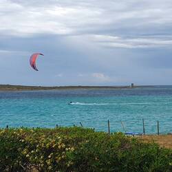 Eigentlich ein Surferparadies