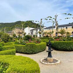 The trees are making their arches and shade cover