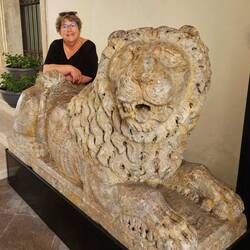 Gentle little lion from 1780