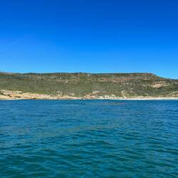 Glorious beach scene as we travelled from the dolphins to the seals