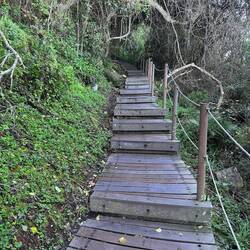 The board walk that led us up to the top for great views