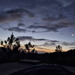 The alarm rings, it is dawn