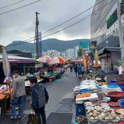 Fisch Markt 🐟🐠