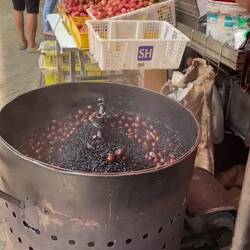 VIDEO- Chestnuts and Coffee Roasting together!