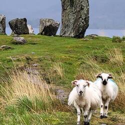 Even though we went early to the stone circle, we were not the first to arrive!