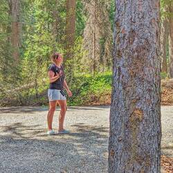 Steffi sucht immer noch die Wildtiere
