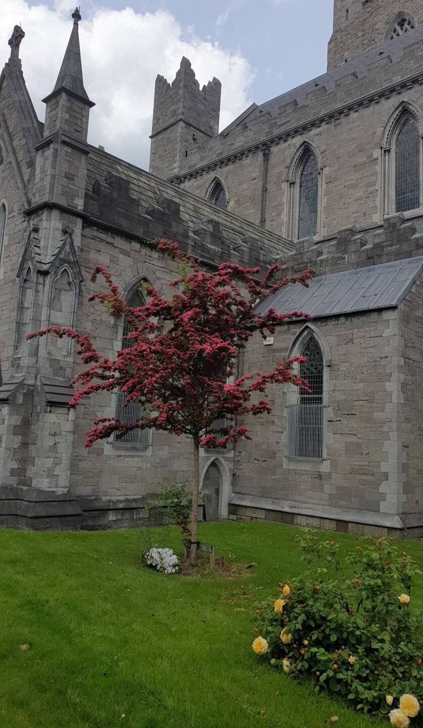 Im Vorgarten der Cathedrale