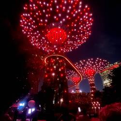 Super tree light show