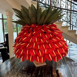 Fabulous lipstick plant in the Oyster Box Hotel lobby