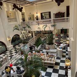 Patrons enjoying afternoon tea