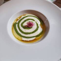 Käse mit Leimkraut (regionale Pflanze)