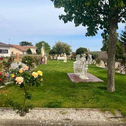 An Oasis in a dry town.