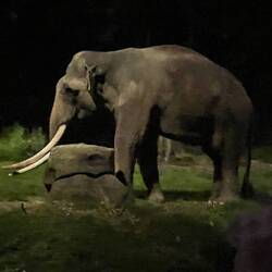 Yes, "Im Real"..and only a few feet away