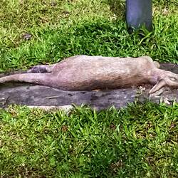 I'm not dead, just resting