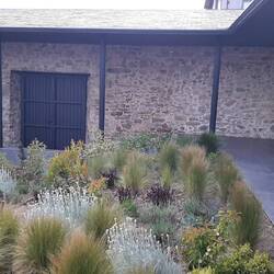 A quickly taken shot of Father Cassian in the garden just before lunch