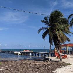 Ein "bisschen" Seegras 🤢