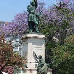 I wish I knew the name of these trees their blue colour is fantastic