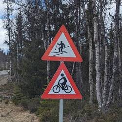 Teilweise hätte mich Bori echt hinterherziehen können 😜