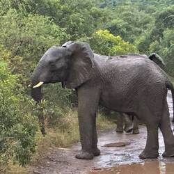 Male protecting his family