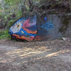 Our view as we ate our lunch on a rock in the forest area