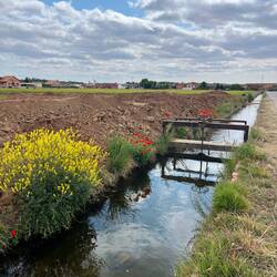 Irrigation systems at work