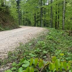 Not shown: Me going back for the camera.