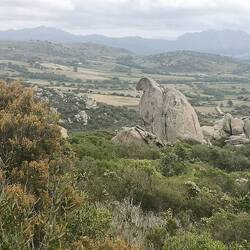 Granitfelsen mitten in der Kulturlandschaft