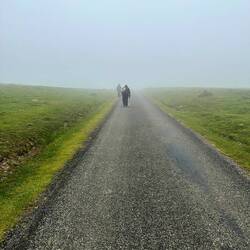 Into the clouds!
