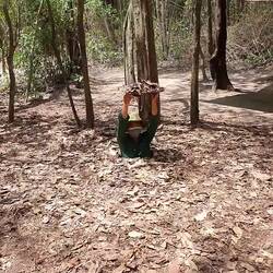 Versteck/einer vieler Eingänge zum Tunnelsystem