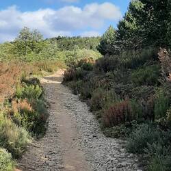 A steady climb but gradual uphill