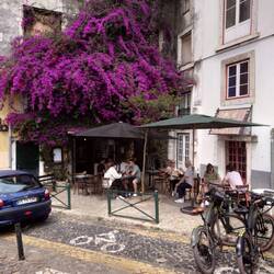 Absolutely love the vibrant tree colours