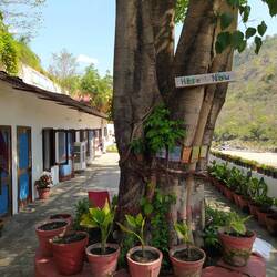 Osho Gangadam Ashram in Rishikesh
