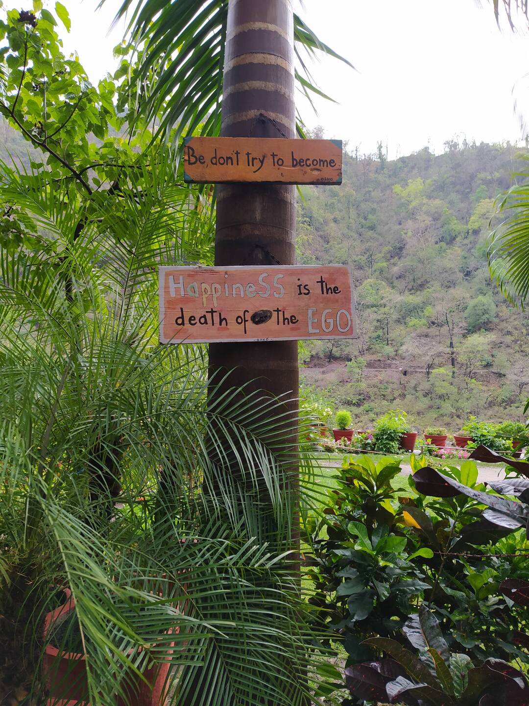 Osho Gangadam Ashram in Rishikesh